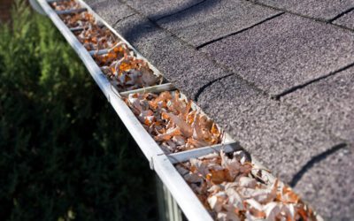 When Should You Clean Your Gutters?