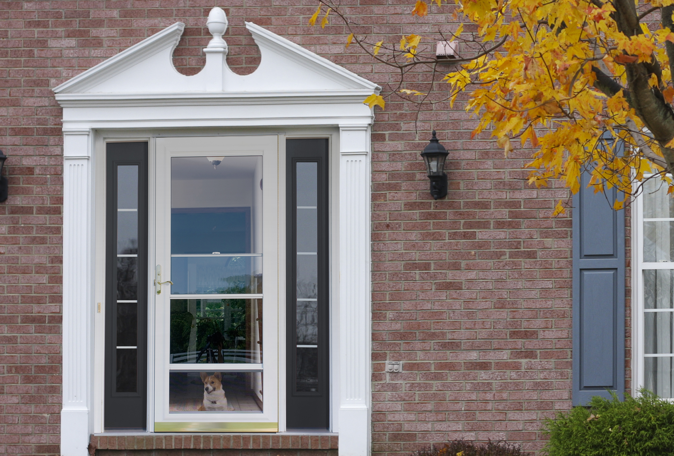 Spectrum Storm Door